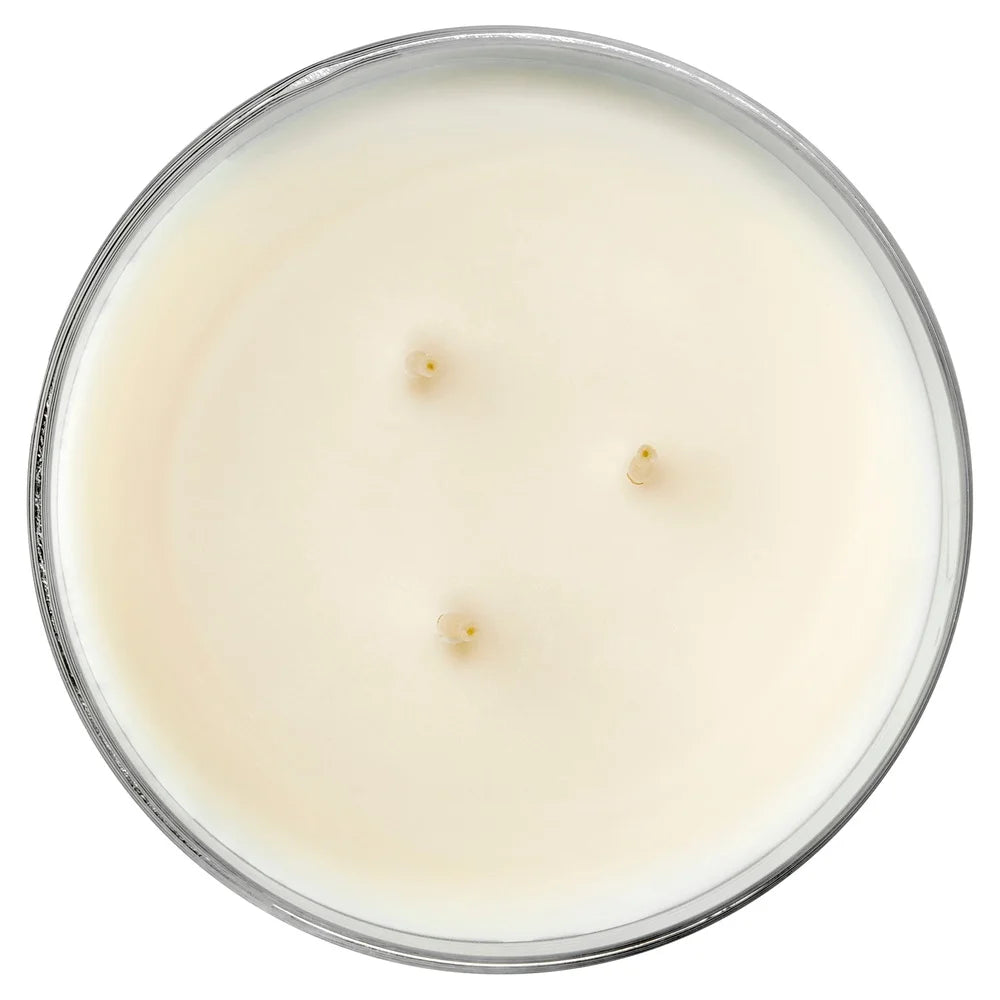 3-Wick Juicy Watermelon 14 oz. Scented Candle