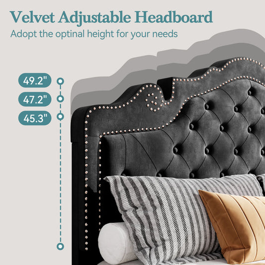 Velvet Tiara Tufted Adjustable Headboard with Bed Frame