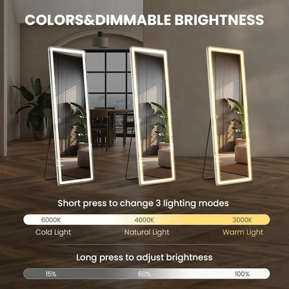Full Length 60"x16" Mirror with Adjustable LED Light