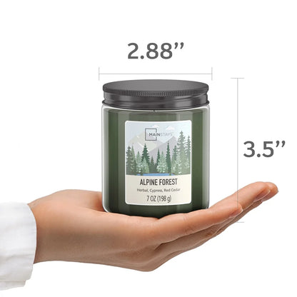 Alpine Forest Scented Aromatherapy Candle, 2 Pack